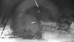 Veselíčko - zahrada u zámku