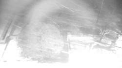 Veselíčko - zahrada u zámku