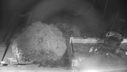 Veselíčko - zahrada u zámku