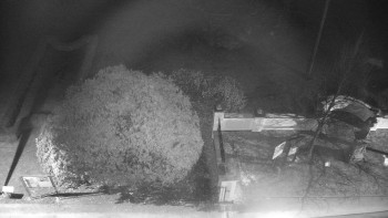 Snímek 24.11.2025 v 05:30