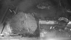 Veselíčko - zahrada u zámku