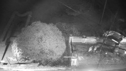 Veselíčko - zahrada u zámku