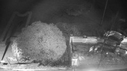 Veselíčko - zahrada u zámku