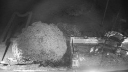 Veselíčko - zahrada u zámku