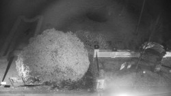 Veselíčko - zahrada u zámku