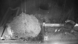 Veselíčko - zahrada u zámku