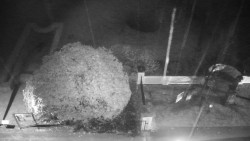 Veselíčko - zahrada u zámku