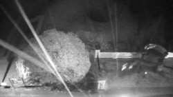 Veselíčko - zahrada u zámku