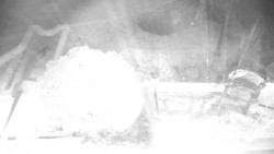 Veselíčko - zahrada u zámku