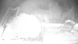 Veselíčko - zahrada u zámku