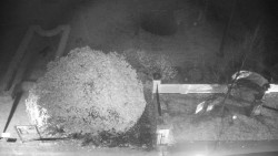 Veselíčko - zahrada u zámku