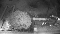 Veselíčko - zahrada u zámku