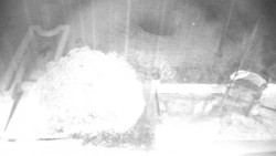 Veselíčko - zahrada u zámku