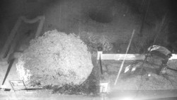 Veselíčko - zahrada u zámku