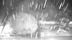 Veselíčko - zahrada u zámku