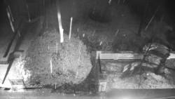 Veselíčko - zahrada u zámku