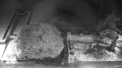 Veselíčko - zahrada u zámku