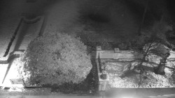 Veselíčko - zahrada u zámku