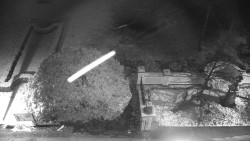 Veselíčko - zahrada u zámku