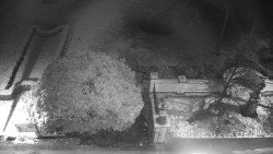 Veselíčko - zahrada u zámku