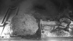 Veselíčko - zahrada u zámku