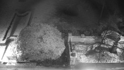 Veselíčko - zahrada u zámku