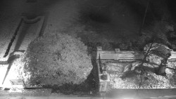 Veselíčko - zahrada u zámku