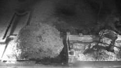 Veselíčko - zahrada u zámku