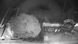 Veselíčko - zahrada u zámku