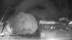 Veselíčko - zahrada u zámku