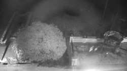 Veselíčko - zahrada u zámku