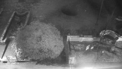 Veselíčko - zahrada u zámku