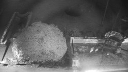 Veselíčko - zahrada u zámku