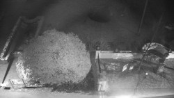 Veselíčko - zahrada u zámku