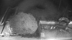 Veselíčko - zahrada u zámku