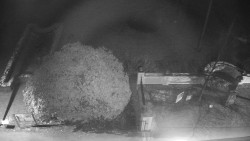 Veselíčko - zahrada u zámku