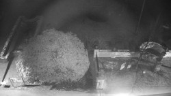 Veselíčko - zahrada u zámku