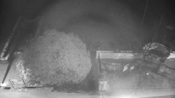 Veselíčko - zahrada u zámku