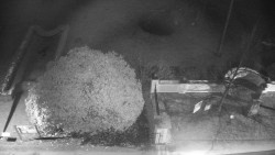 Veselíčko - zahrada u zámku