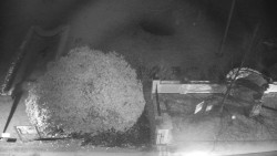 Veselíčko - zahrada u zámku