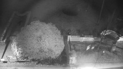 Veselíčko - zahrada u zámku