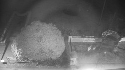 Veselíčko - zahrada u zámku