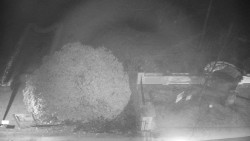 Veselíčko - zahrada u zámku