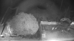 Veselíčko - zahrada u zámku