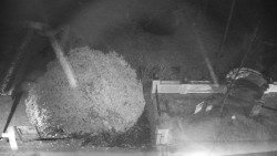 Veselíčko - zahrada u zámku