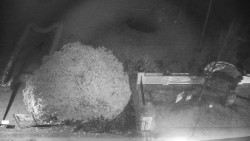 Veselíčko - zahrada u zámku