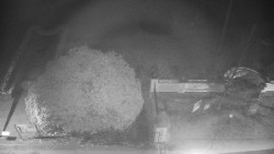 Veselíčko - zahrada u zámku