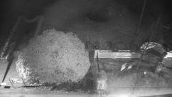 Veselíčko - zahrada u zámku