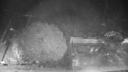 Veselíčko - zahrada u zámku