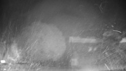 Veselíčko - zahrada u zámku